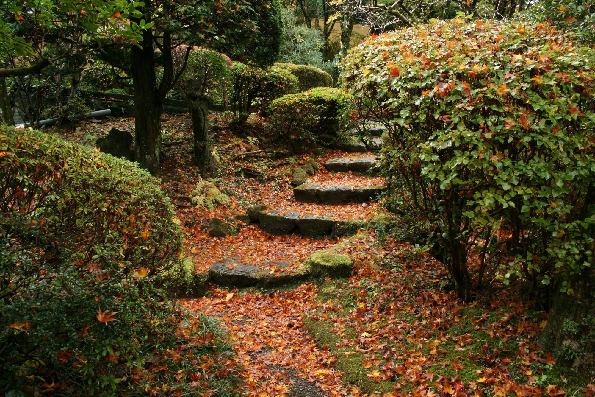 Отель Senkyoro Хаконе Экстерьер фото